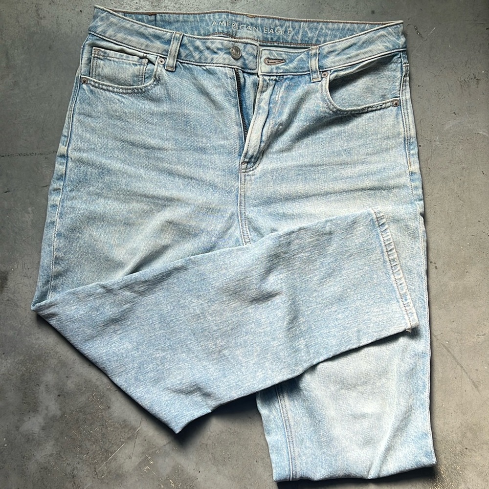 AE American Eagle Strigid Mom Jean US 10 Short